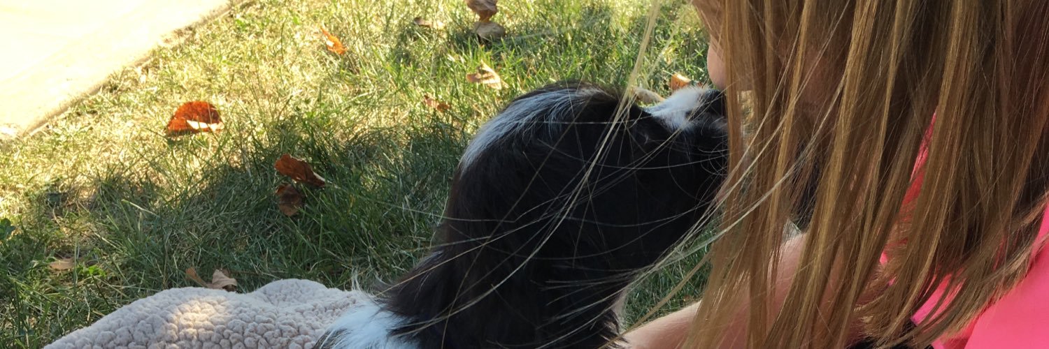 madystein's profile banner image
