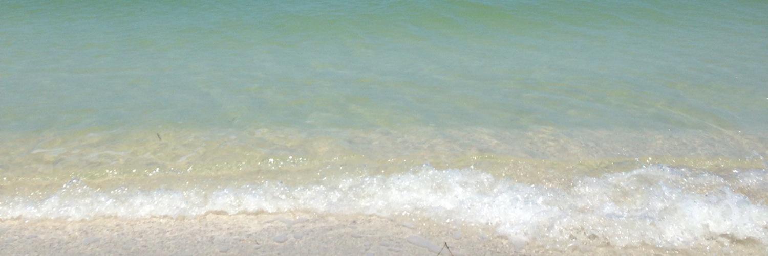 Trabercrombie's profile banner image