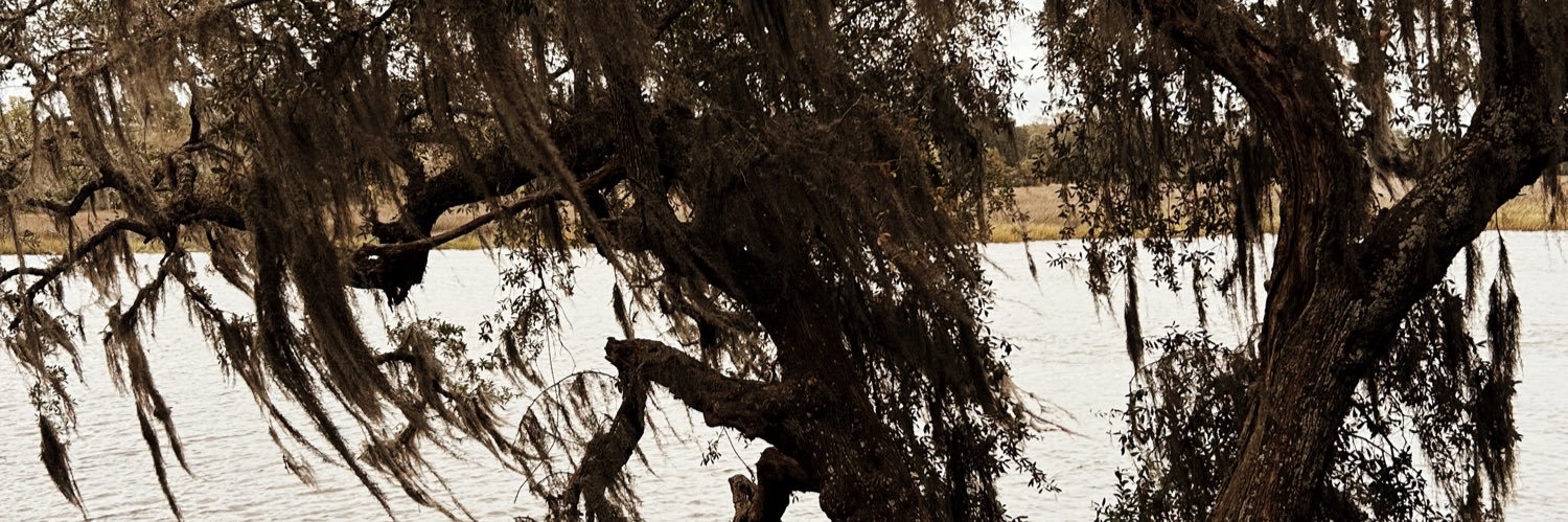 sxvxnna's profile banner image