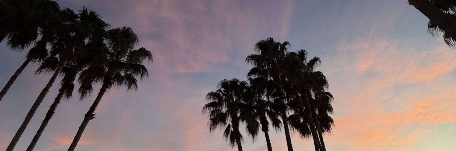 MettaWorldElyse's profile banner image