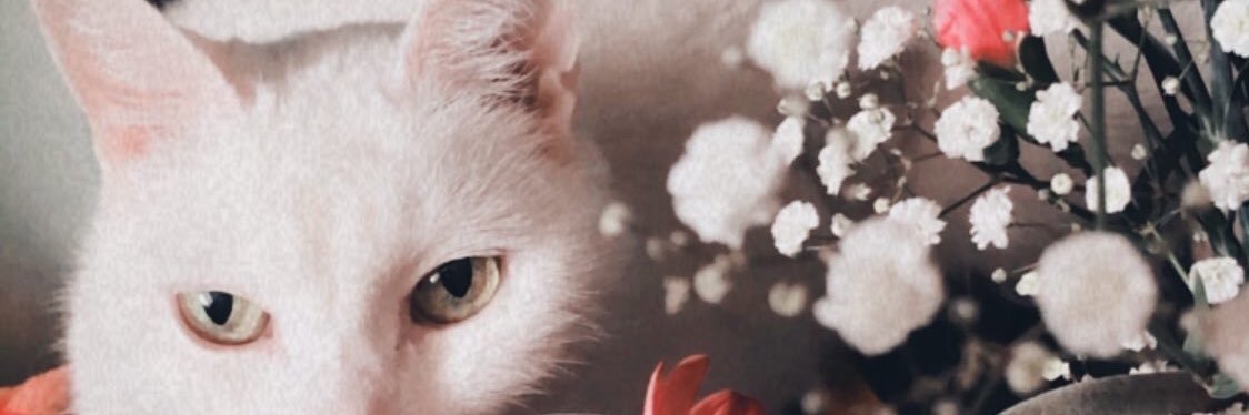 🌴Lizard Queen💾 Lovely Recipe! out 2/3! 🫶🏽 banner