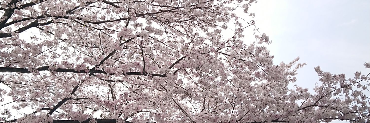 1059cham's profile banner image