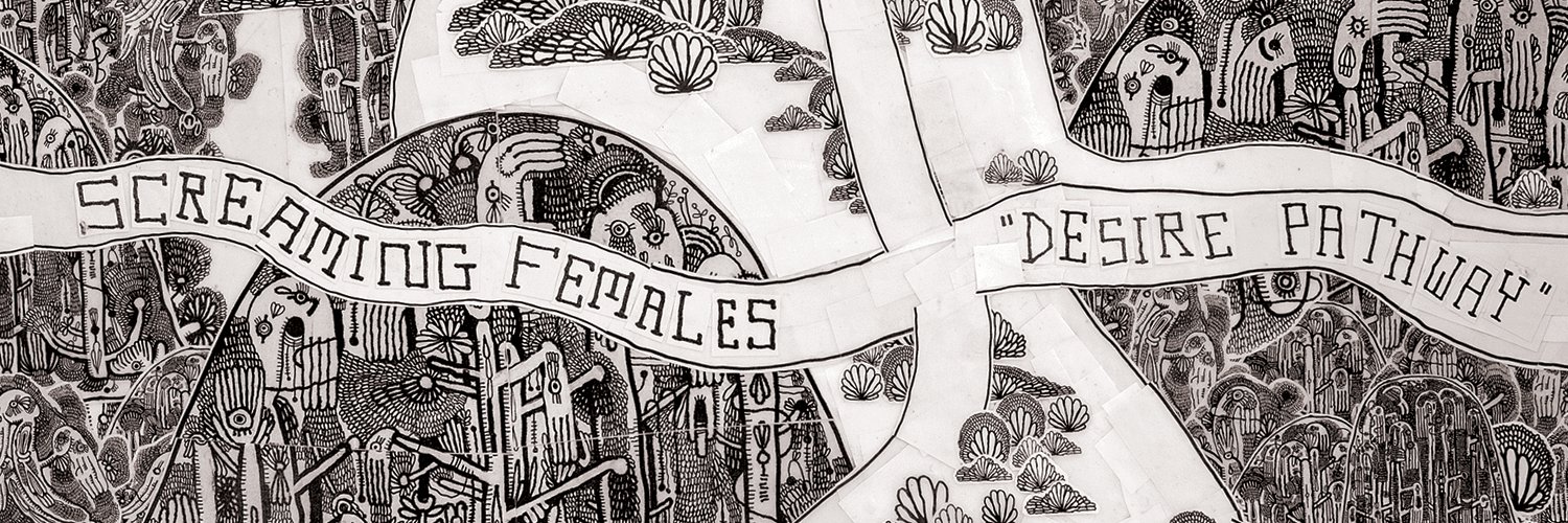 Screaming Females banner