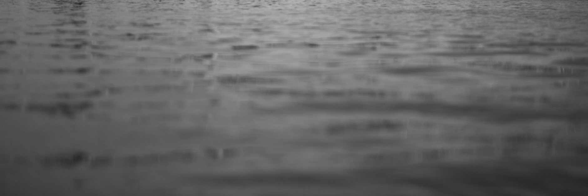 Christina House banner