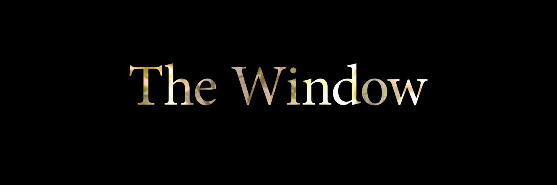 TheWindowFilm's profile banner image