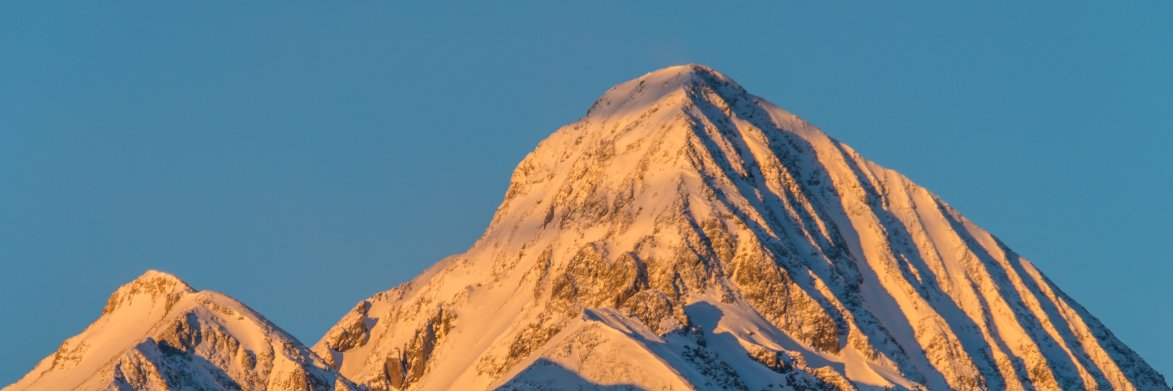 LocaWildApp's profile banner image
