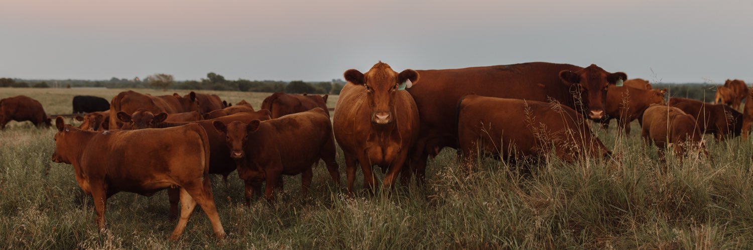 Kade Gottschalk banner