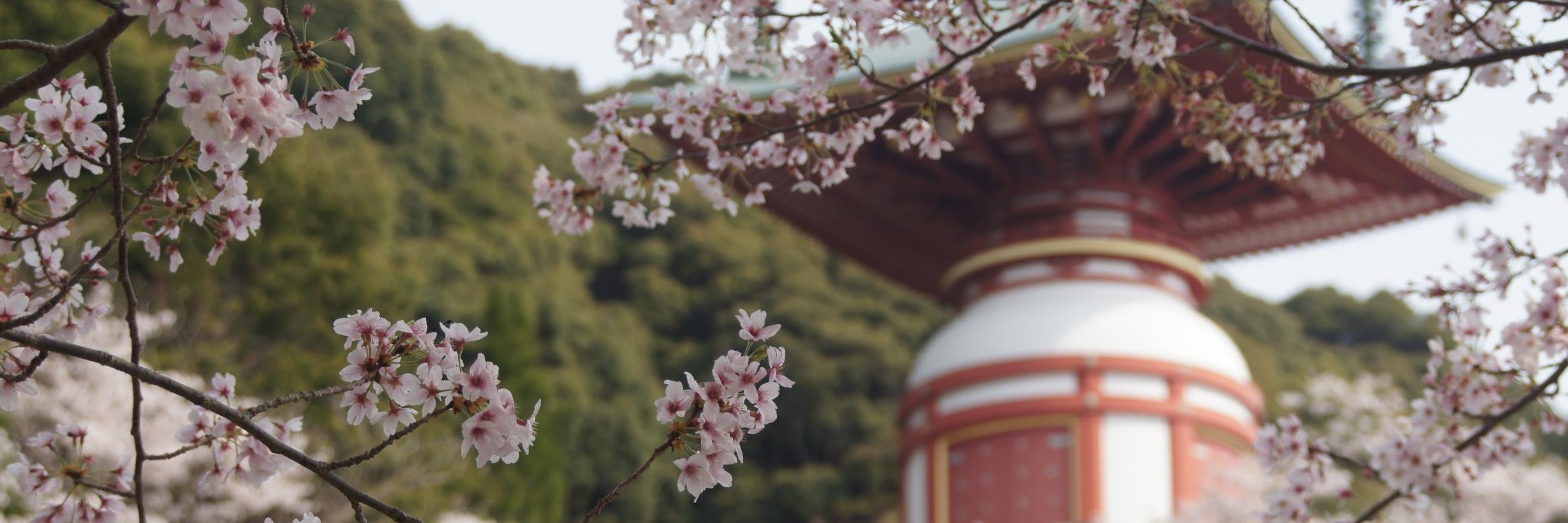 Minami_Town's profile banner image