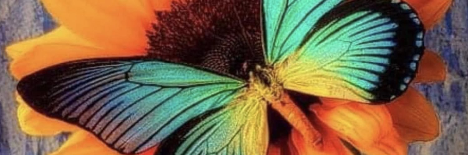 Say it as it really is!🇨🇦 banner