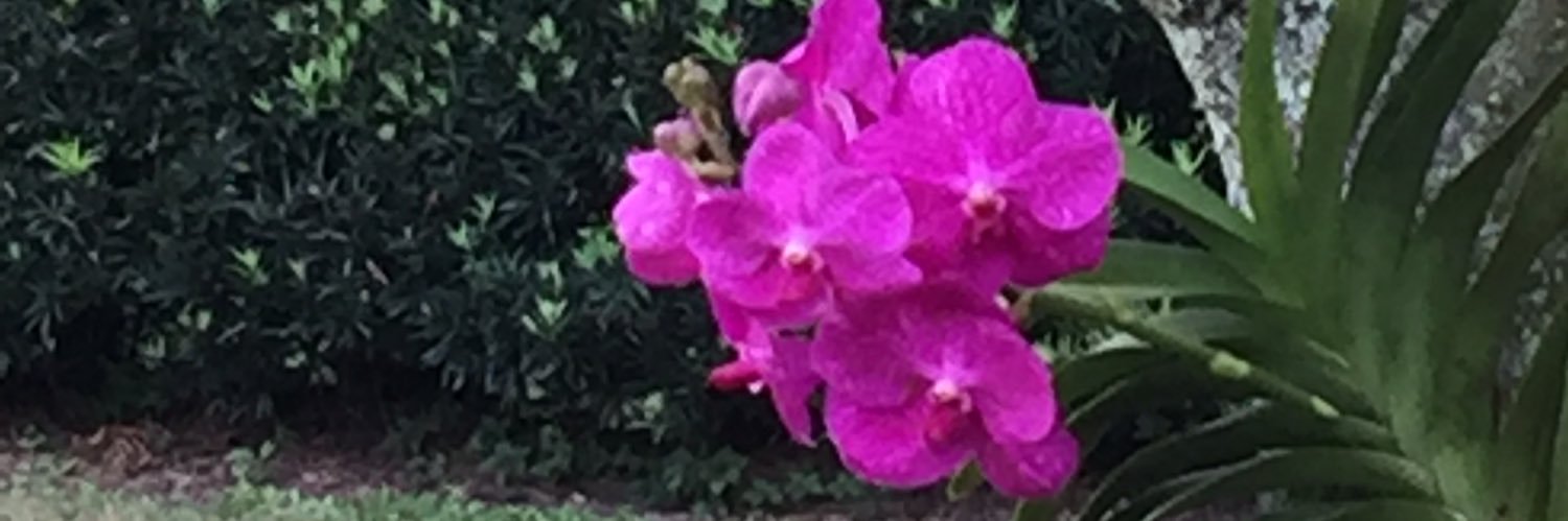 phylliee22's profile banner image