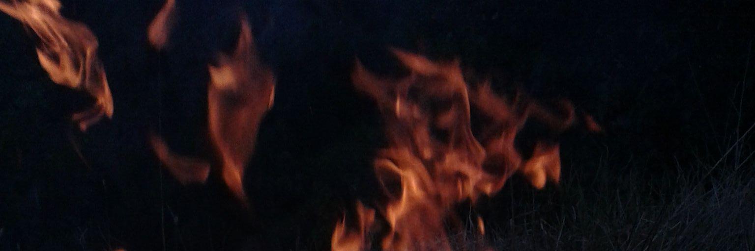 ErdicanM's profile banner image