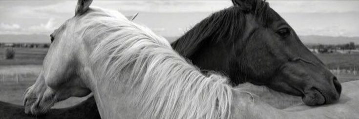Rabiabck_'s profile banner image