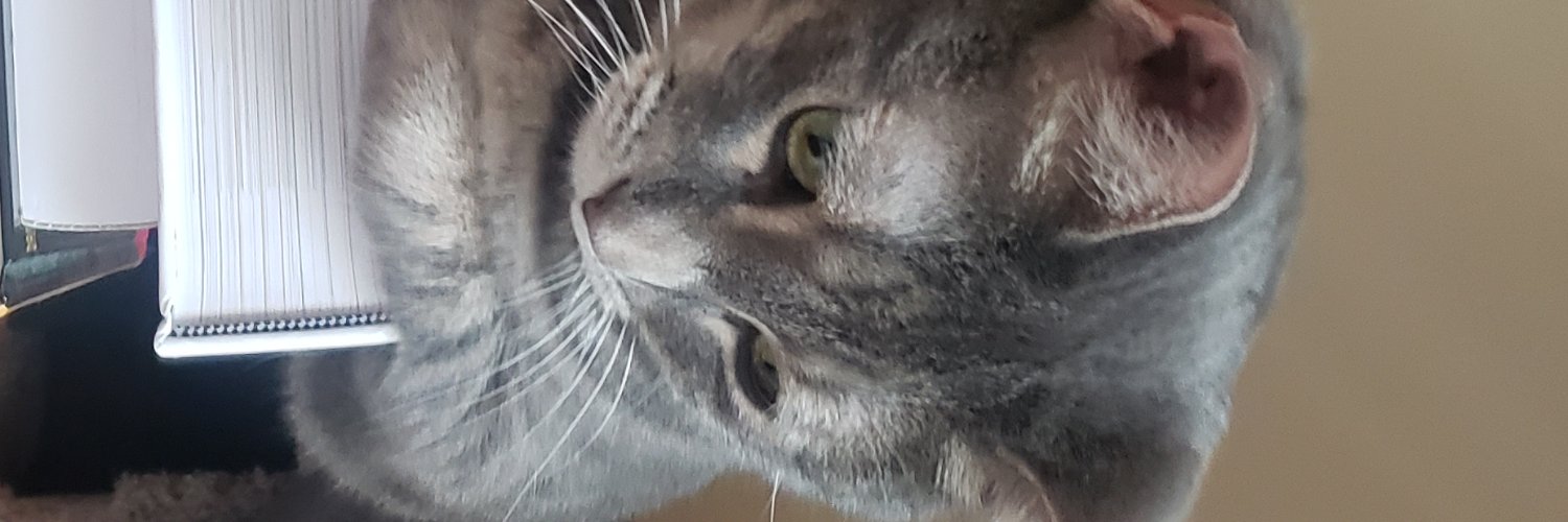 Alkminion's profile banner image
