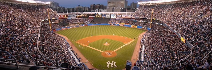 Bill Rodriguez banner