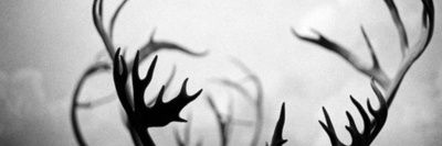 HIYL_Mayhew's profile banner image