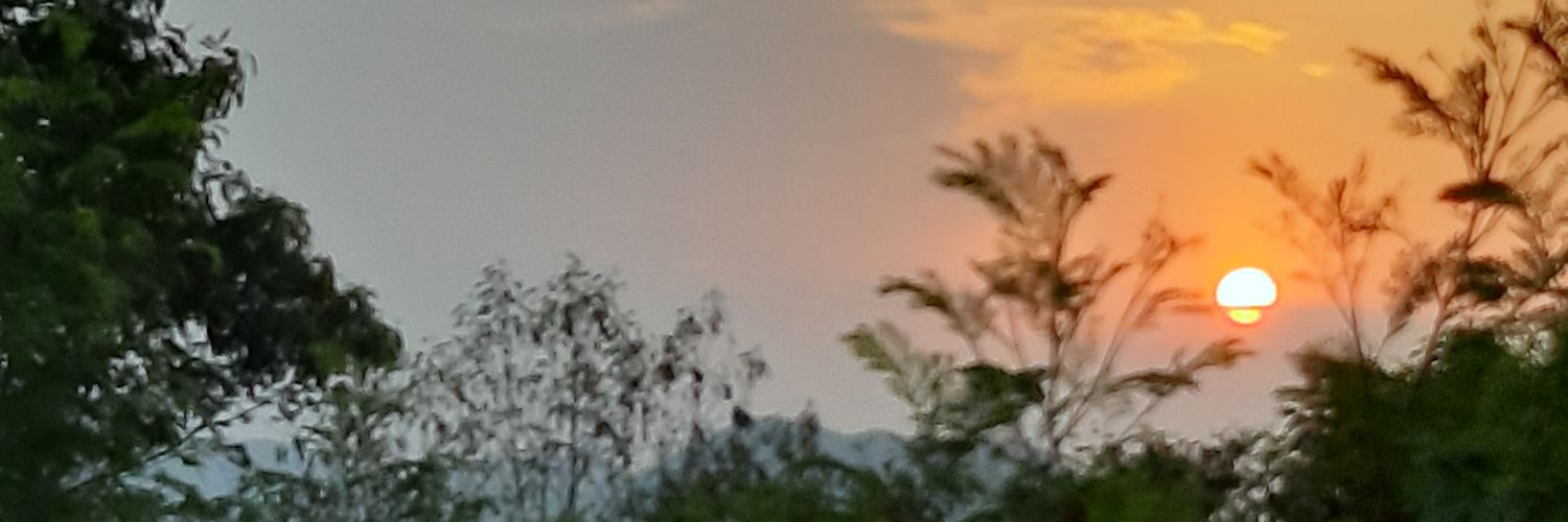 donlivas's profile banner image