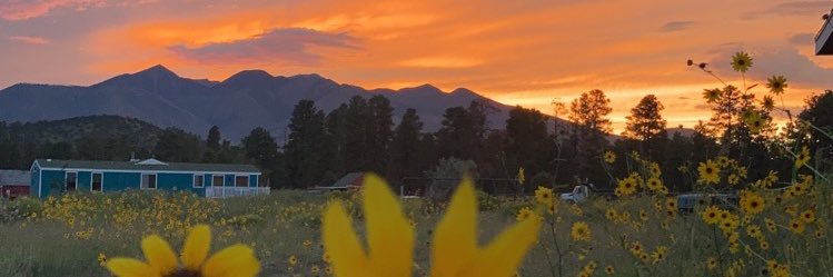 AskanEricka's profile banner image