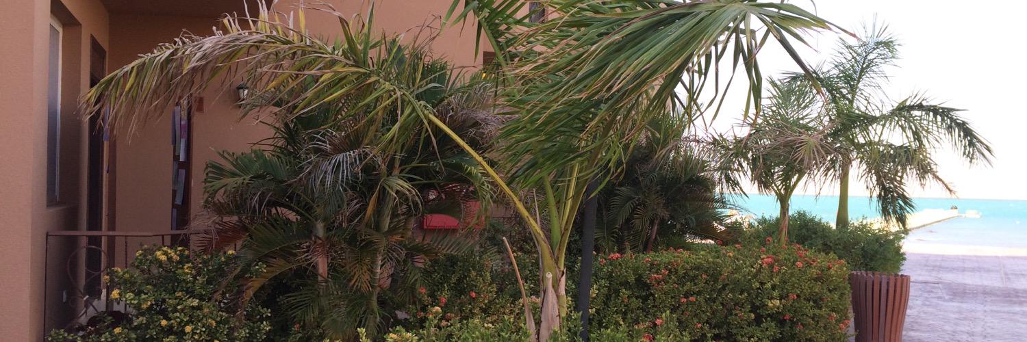 niceboy4001's profile banner image