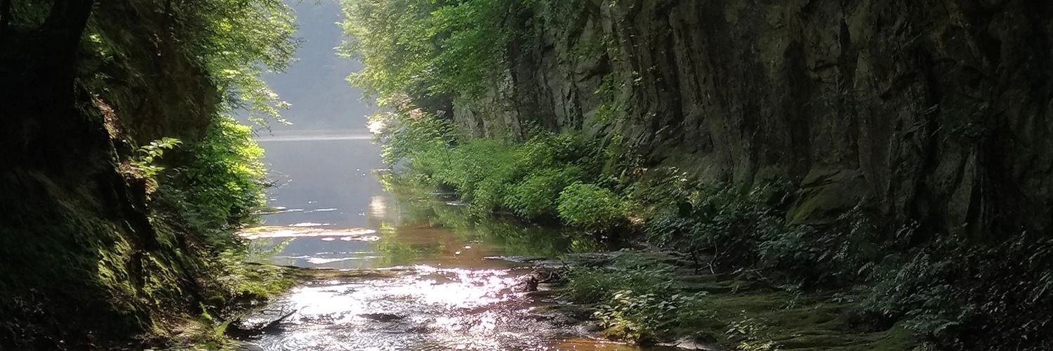 WolfsTrail's profile banner image