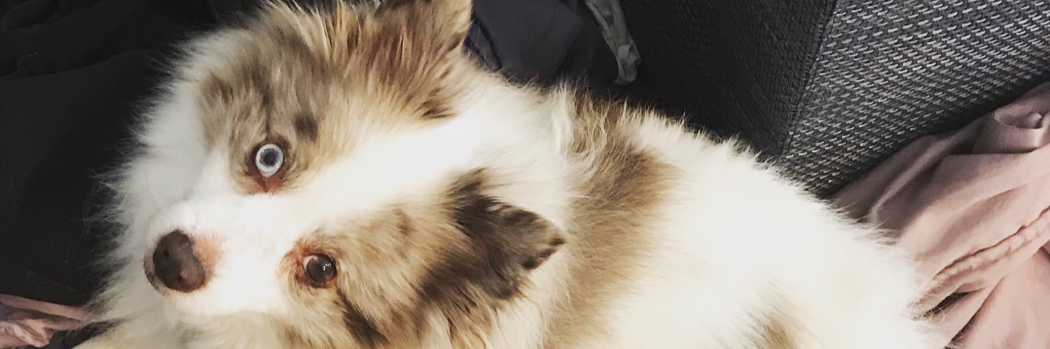 MsAngelaChase's profile banner image
