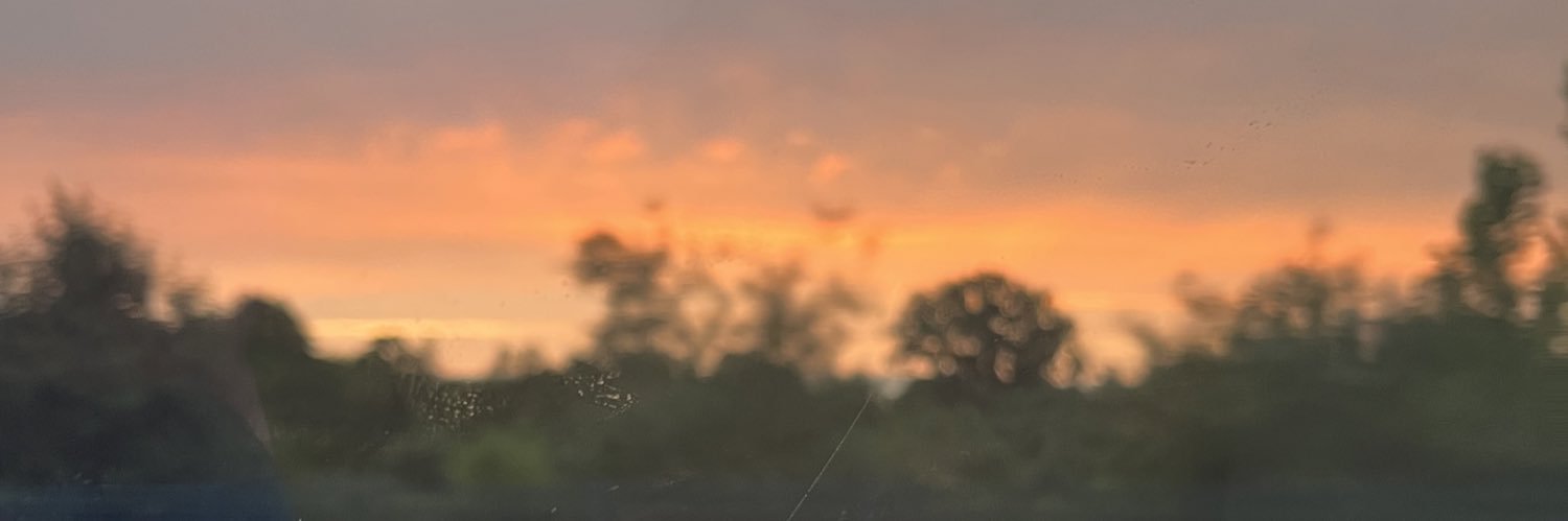 michaela_mccann's profile banner image