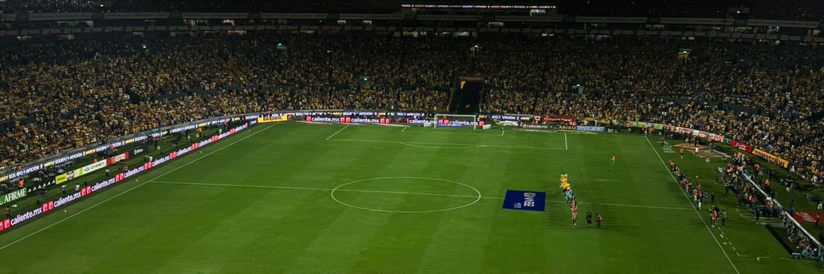 Jesse Cruz banner