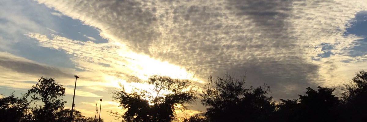 BumeranPaul's profile banner image