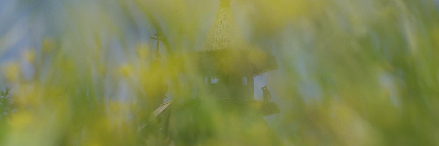 Edena_Studio's profile banner image