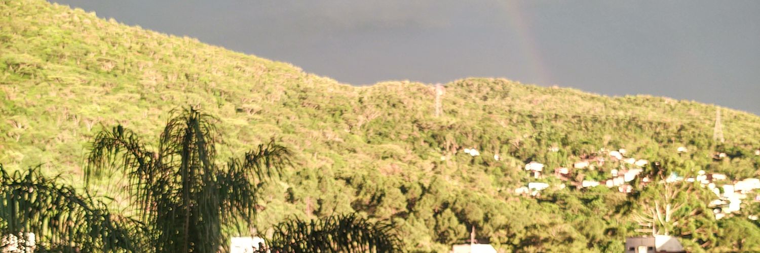 antoniovenicius's profile banner image