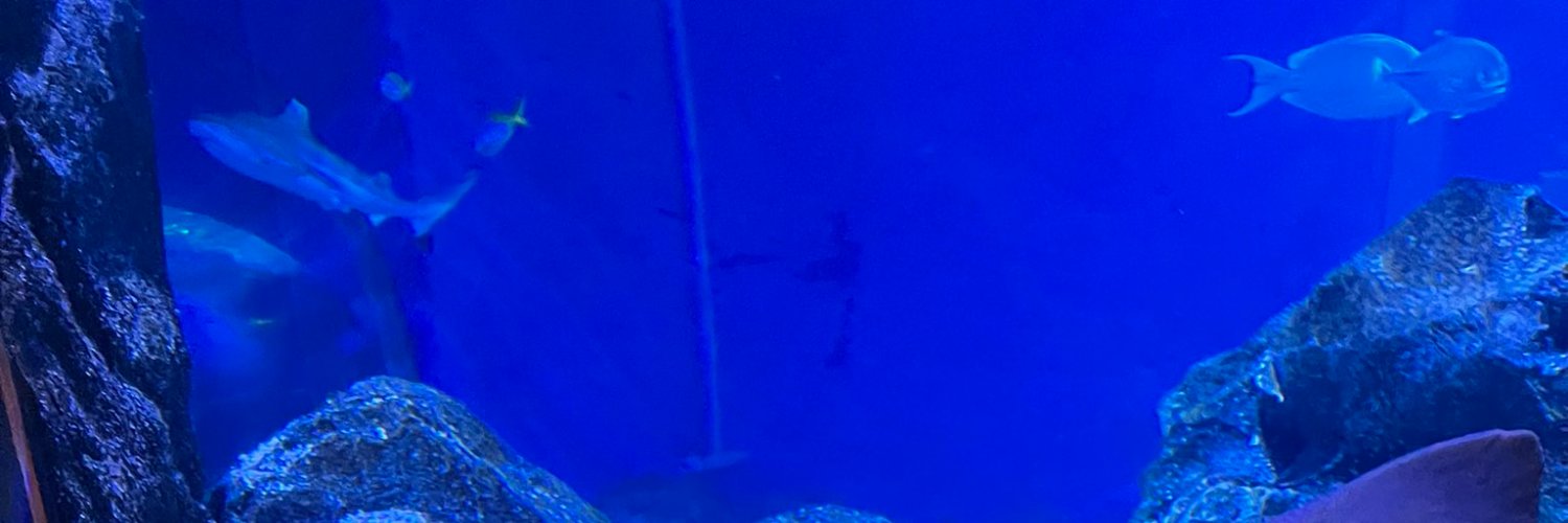 _bamtun's profile banner image