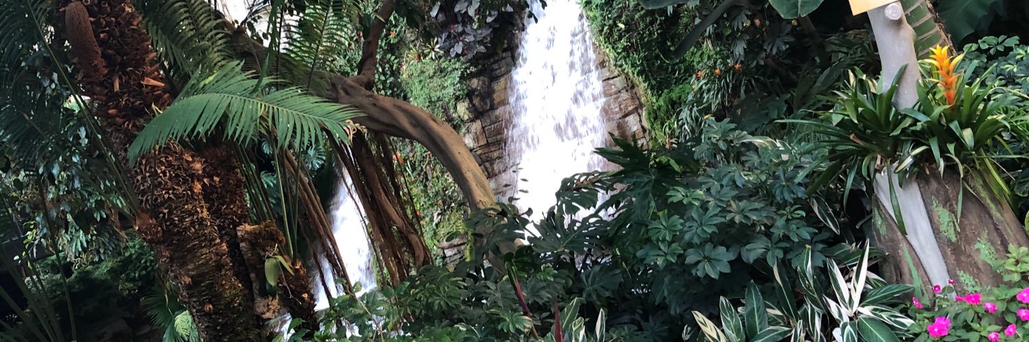 Nicole A. Johnson banner