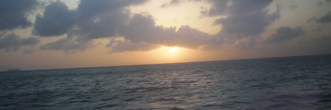 fernandohblanco's profile banner image