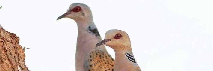 عبدالعزيز banner