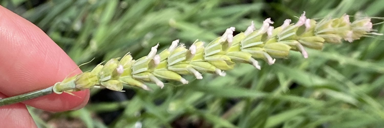 𝙴𝚁𝙸𝙲 banner