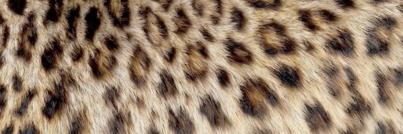 Zykhairaaa's profile banner image