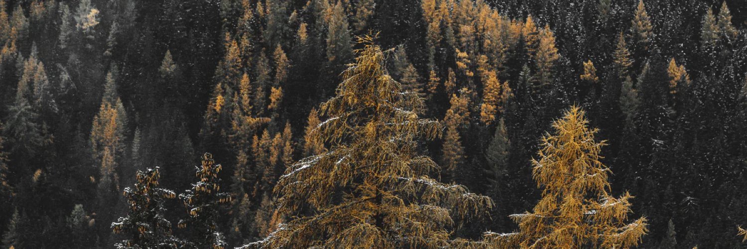 jbcaprell's profile banner image