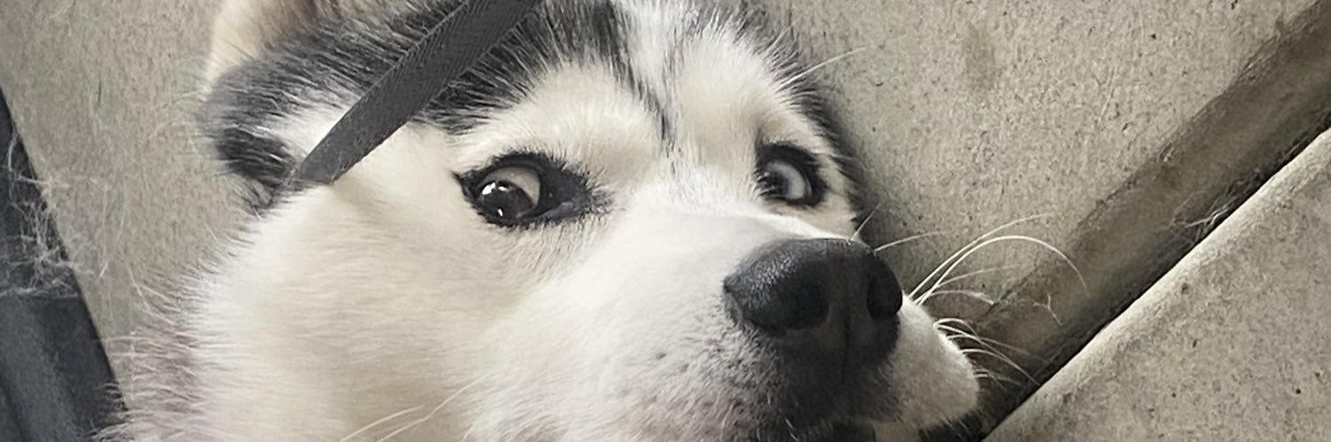 Dn_sty's profile banner image