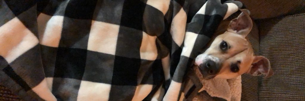 wittierkati's profile banner image