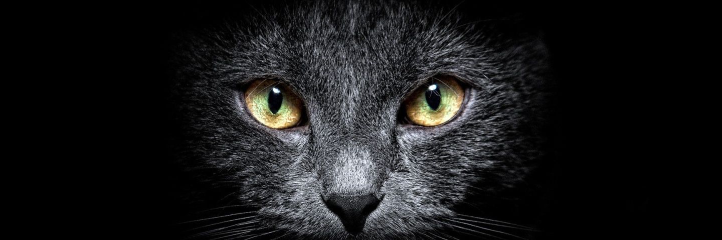 _Bengbong's profile banner image