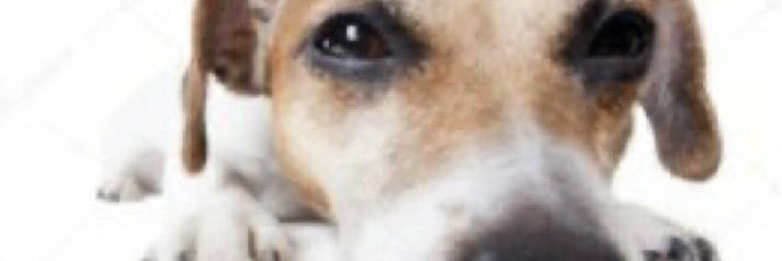 jupinchicago's profile banner image