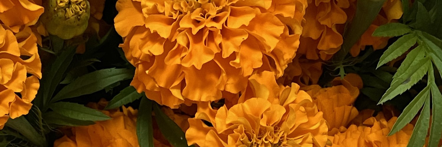 abaquesadilla's profile banner image