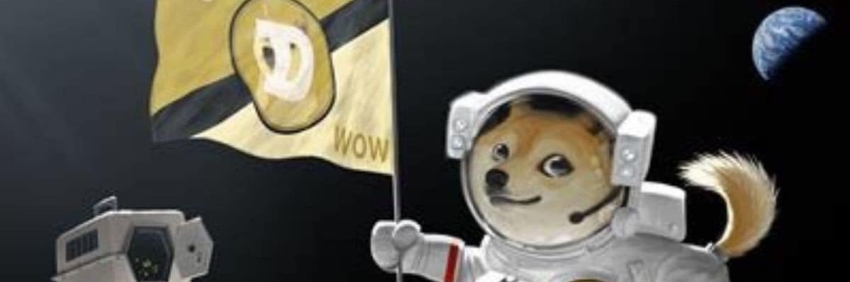 DogeCoinSecure's profile banner image