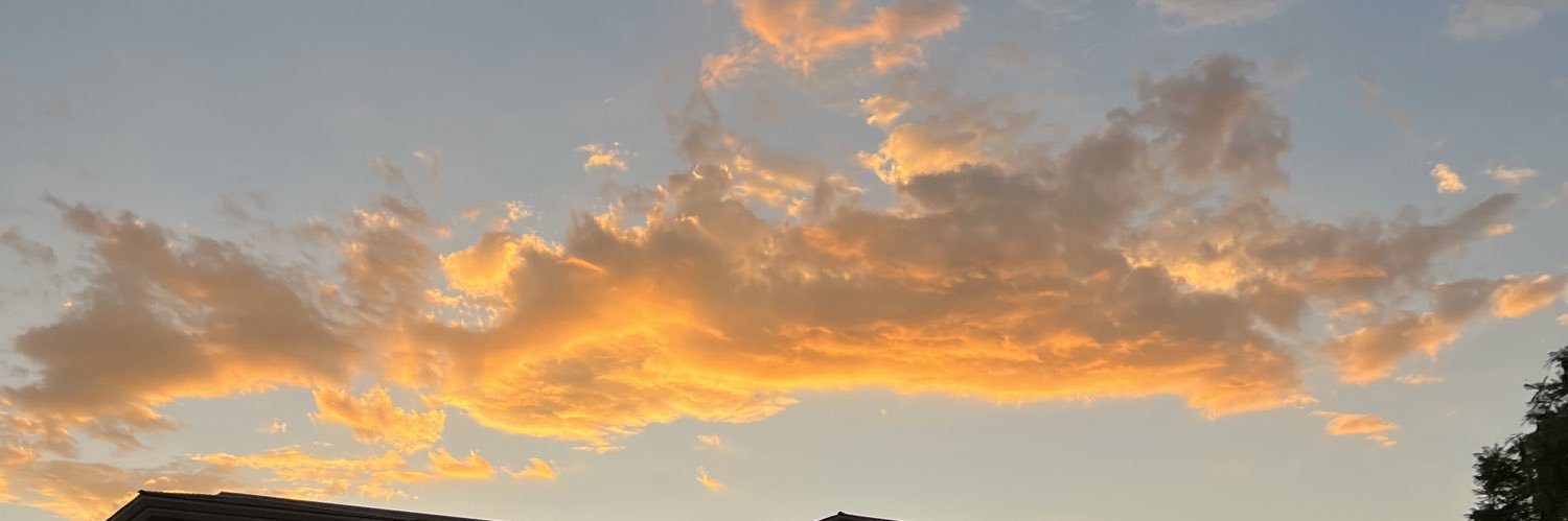 courttttrose's profile banner image