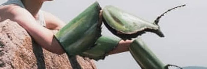 ryumantis's profile banner image