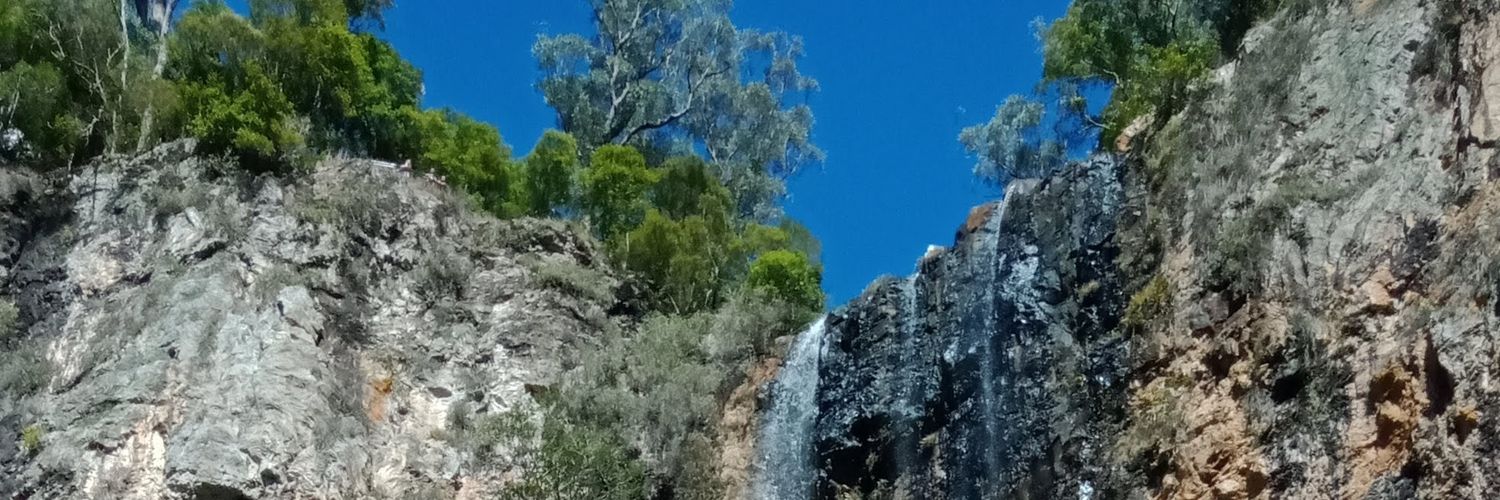 PIG AJ 🐷🐽 banner