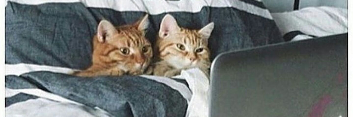 tracyann1983's profile banner image