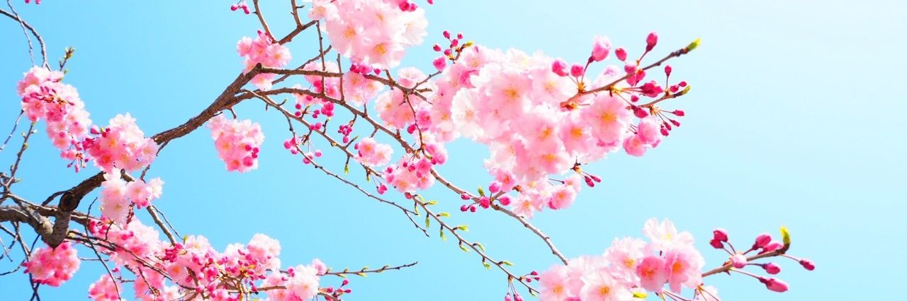 akurahs3z's profile banner image