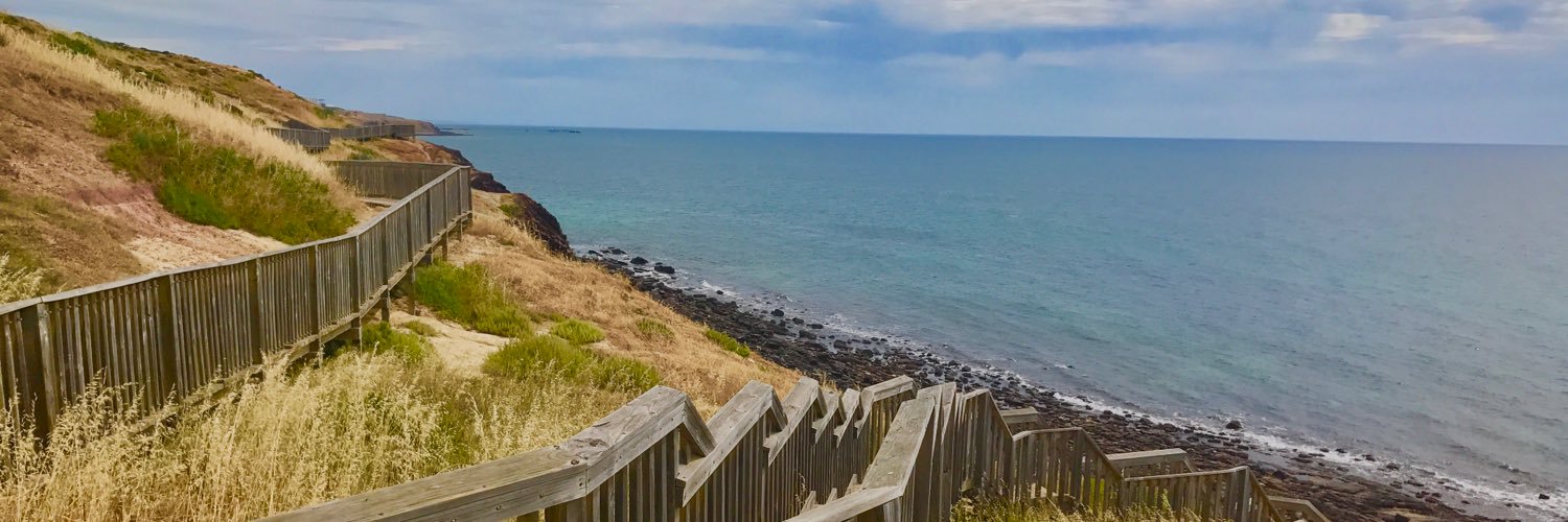 Dr Ben Lohmeyer banner