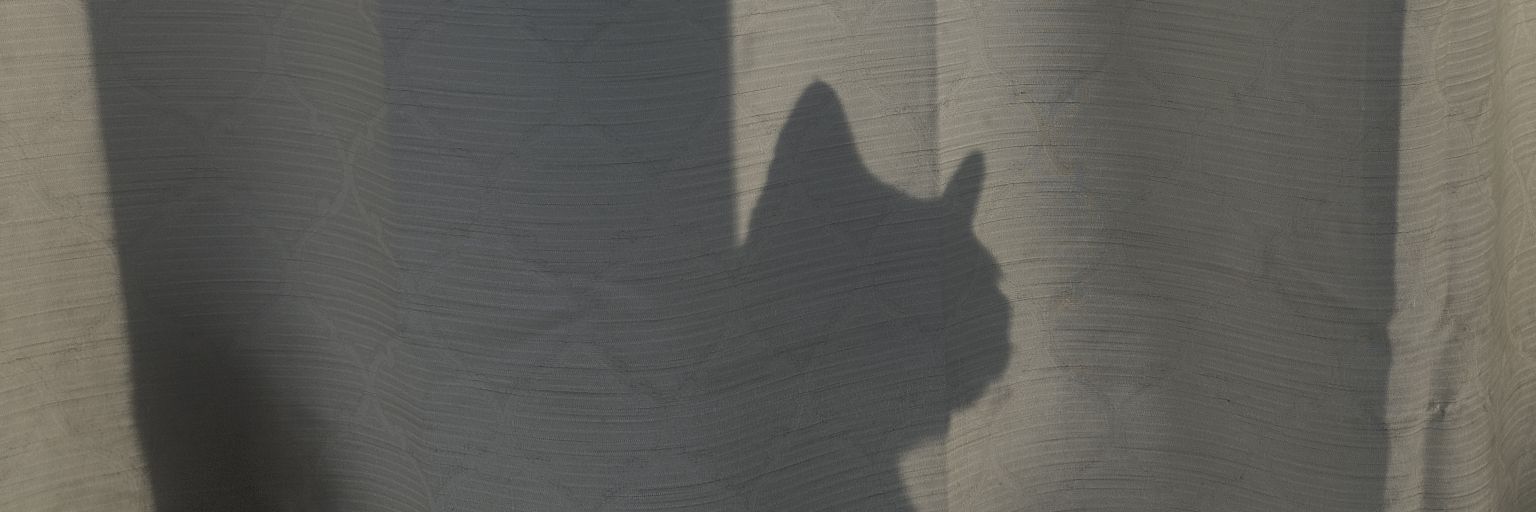 _Nobody_95's profile banner image