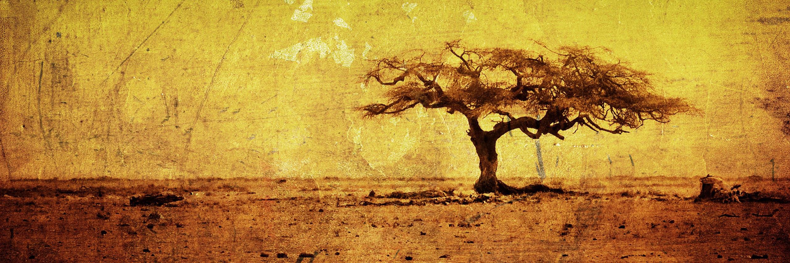 Wikiloky's profile banner image